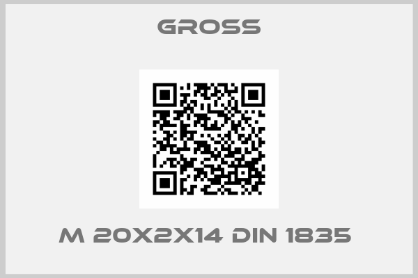 GROSS-M 20X2X14 DIN 1835 