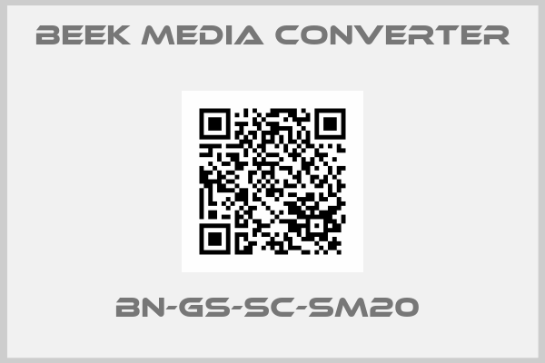 Beek Media Converter-BN-GS-SC-SM20 