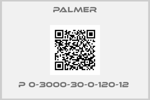 Palmer-P 0-3000-30-0-120-12 