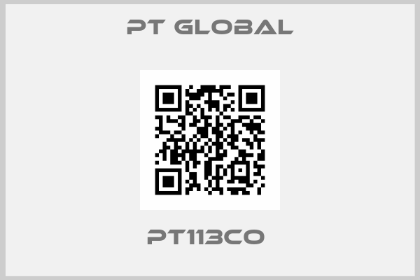 PT global-PT113CO 