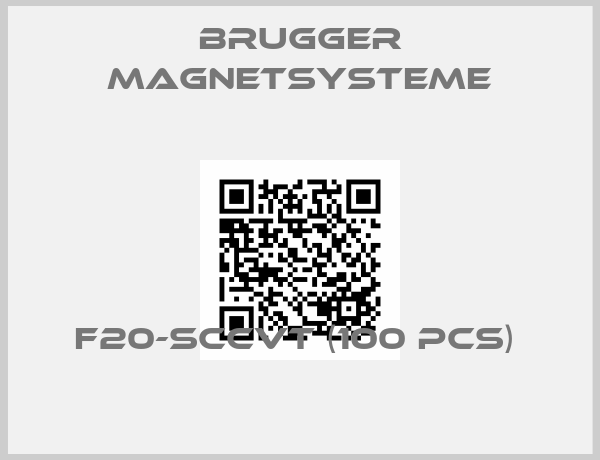 BRUGGER MAGNETSYSTEME-F20-SCCvT (100 pcs) 