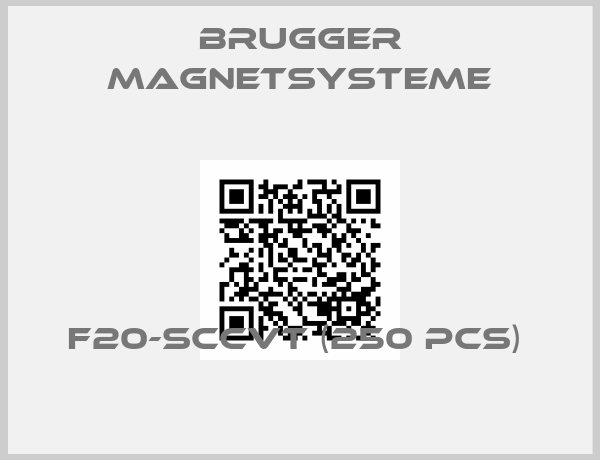 BRUGGER MAGNETSYSTEME-F20-SCCvT (250 pcs) 