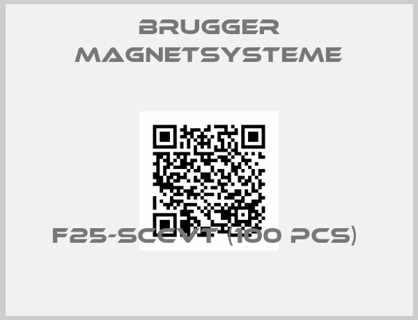 BRUGGER MAGNETSYSTEME-F25-SCCvT (100 pcs) 