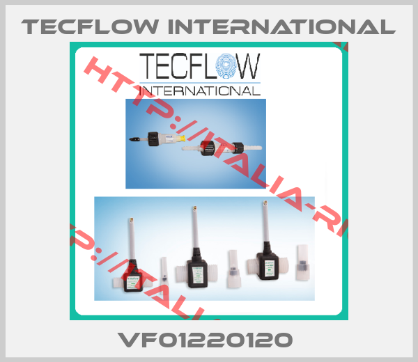 Tecflow International-VF01220120 