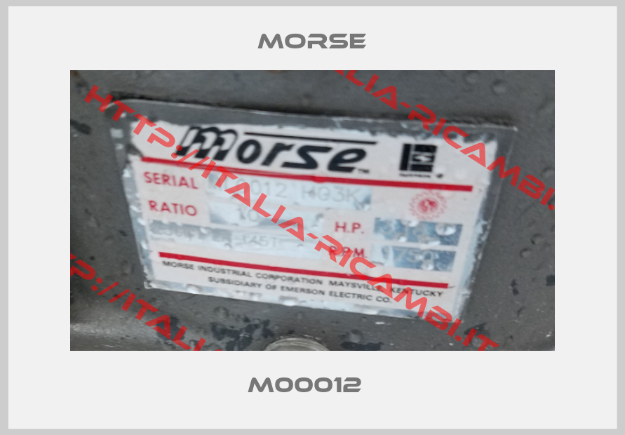 MORSE-M00012  