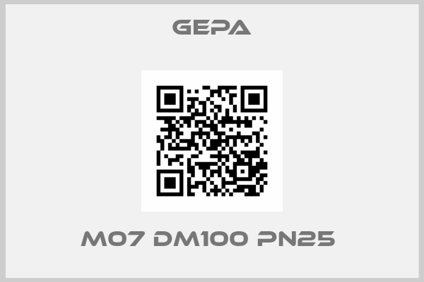 Gepa-M07 DM100 PN25 