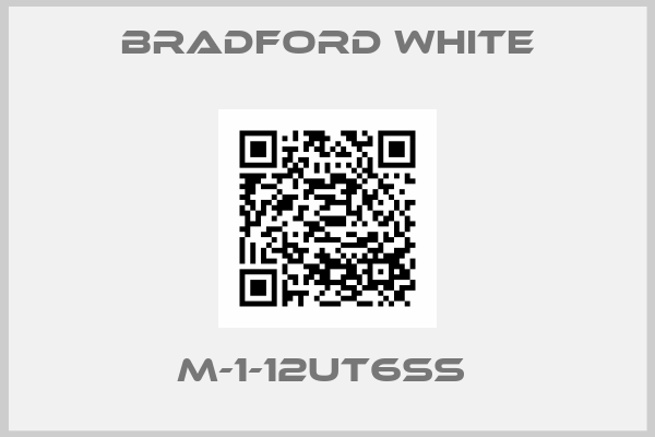 Bradford White-M-1-12UT6SS 