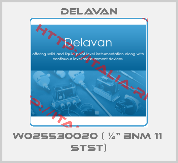 Delavan-W025530020 ( ¼“ BNM 11  STST)