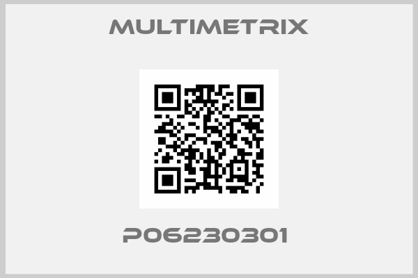 Multimetrix-P06230301 