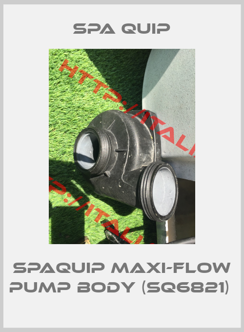 Spa Quip-Spaquip Maxi-Flow Pump Body (sq6821) 