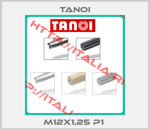 Tanoi-M12X1,25 P1 