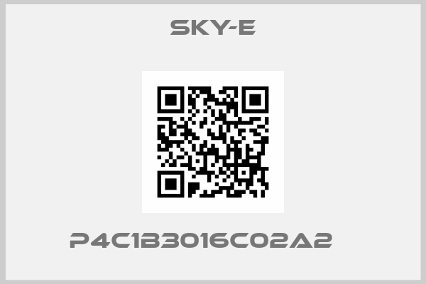 Sky-E-P4C1B3016C02A2   