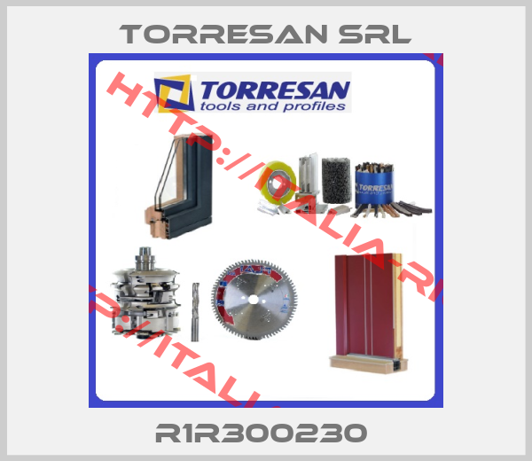 Torresan Srl-R1R300230 
