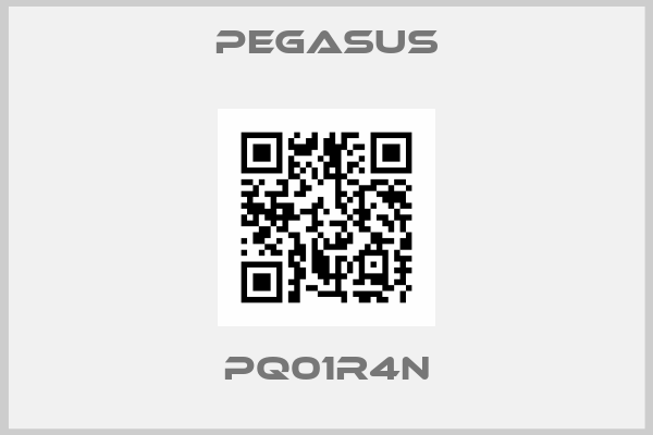 Pegasus-PQ01R4N