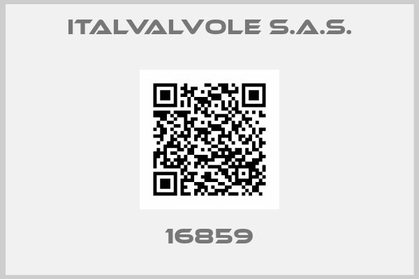ITALVALVOLE S.A.S.-16859