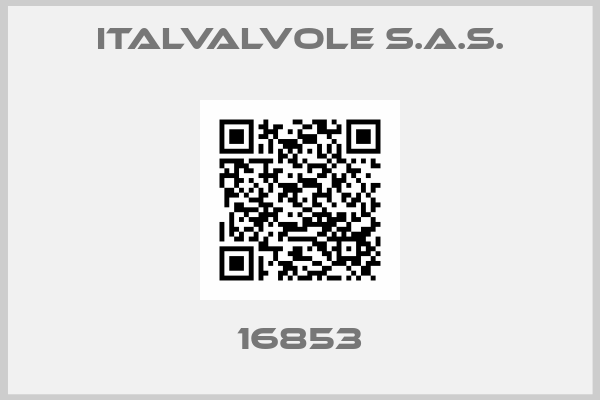 ITALVALVOLE S.A.S.-16853