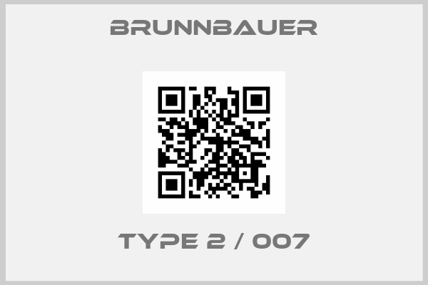 Brunnbauer-TYPE 2 / 007