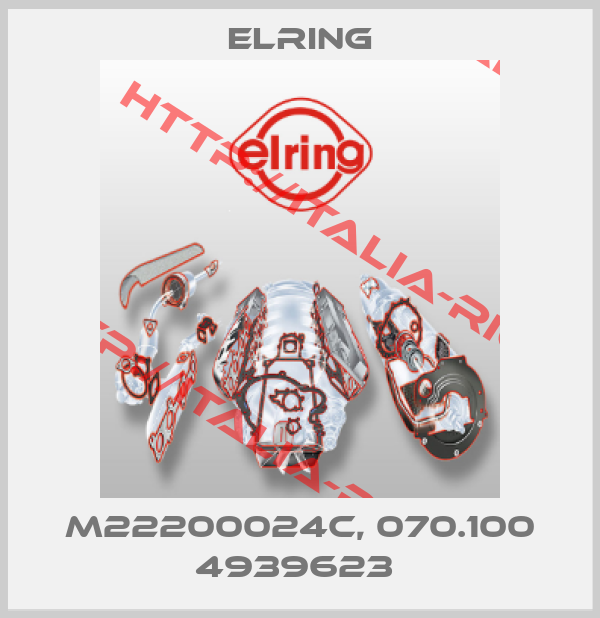 Elring-M22200024C, 070.100 4939623 