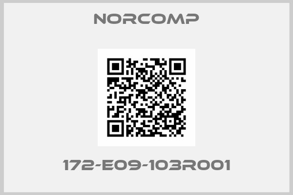 Norcomp-172-E09-103R001