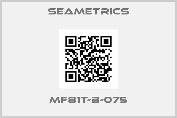 Seametrics-MF81T-B-075