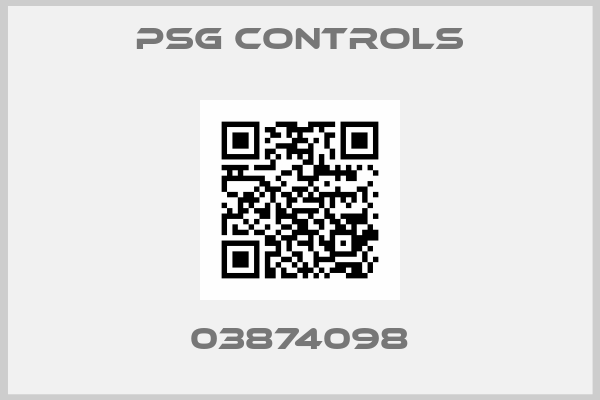 PSG CONTROLS-03874098