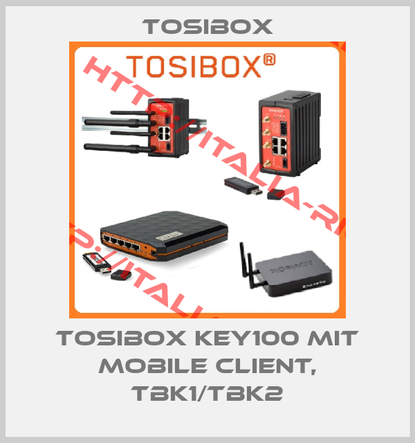 Tosibox-Tosibox Key100 mit Mobile Client, TBK1/TBK2