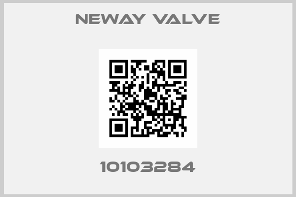 Neway Valve-10103284