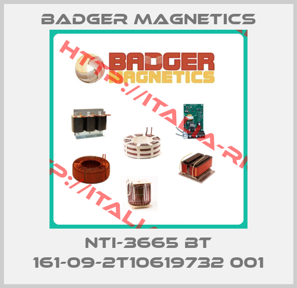 Badger Magnetics-NTI-3665 BT 161-09-2T10619732 001