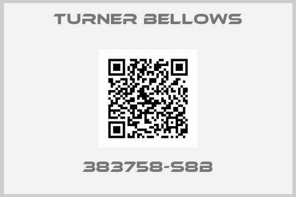 Turner Bellows-383758-S8B