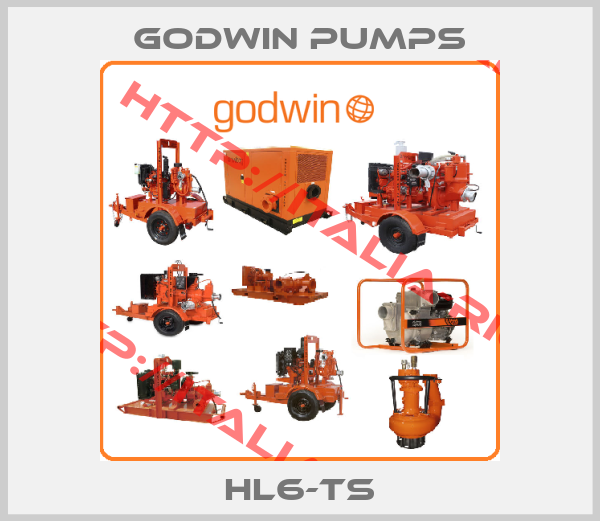 Godwin Pumps-HL6-TS
