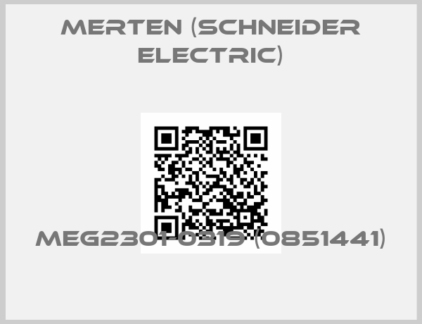 Merten (Schneider Electric)-MEG2301-0319 (0851441)