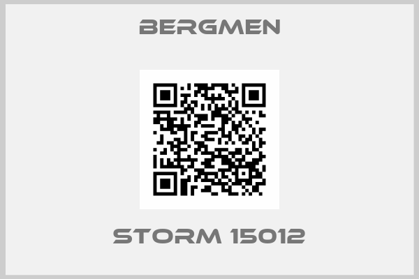 Bergmen-STORM 15012