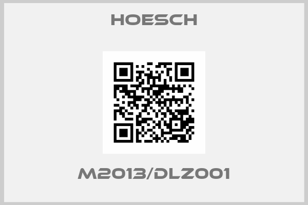 Hoesch-M2013/DLZ001
