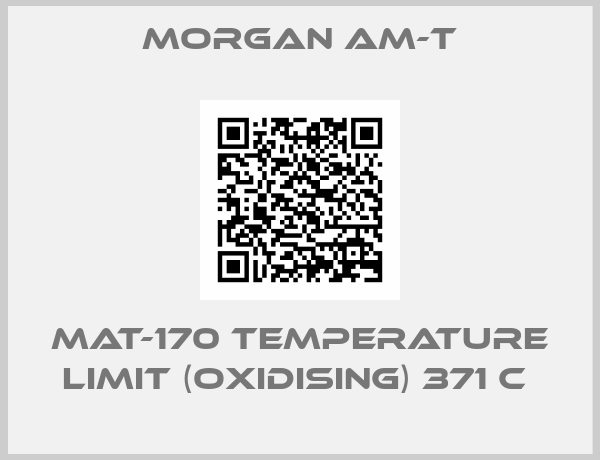 Morgan AM-T-MAT-170 TEMPERATURE LIMIT (OXIDISING) 371 C 