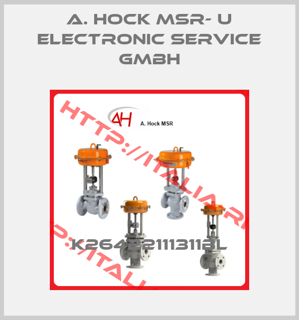A. Hock MSR- u Electronic Service GmbH-K26422111311BL