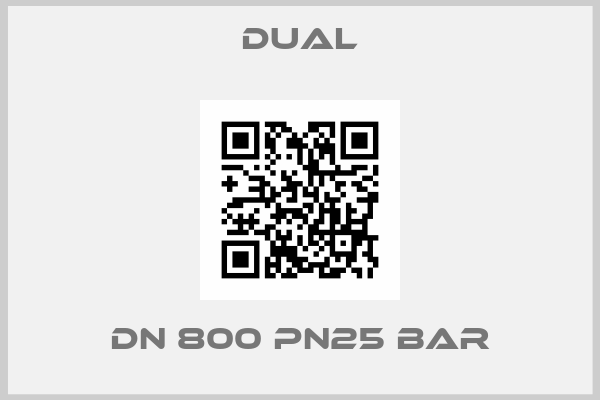 DUAL-DN 800 PN25 bar