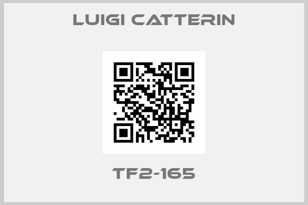 Luigi catterin-TF2-165