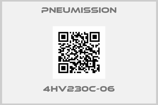 Pneumission-4HV230C-06