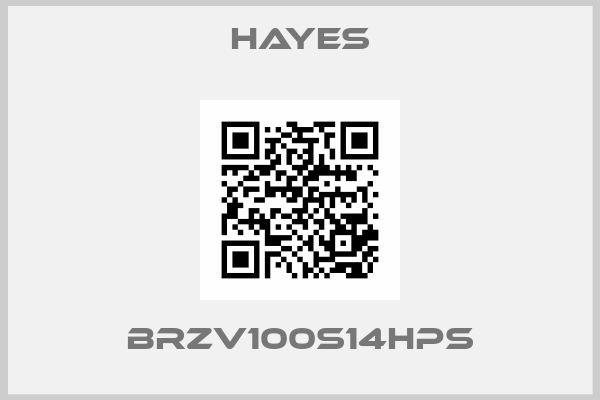 HAYES-BRZV100S14HPS