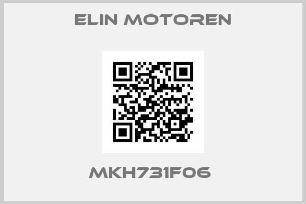 Elin Motoren-MKH731F06 