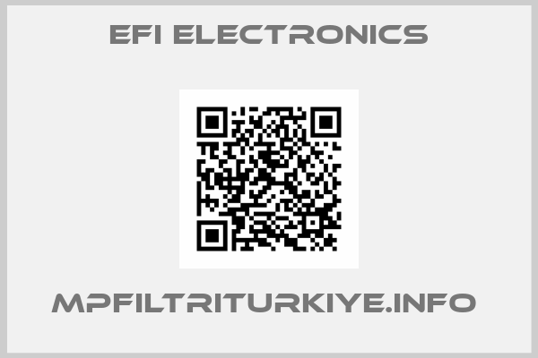 Efi Electronics-MPFILTRITURKIYE.INFO 