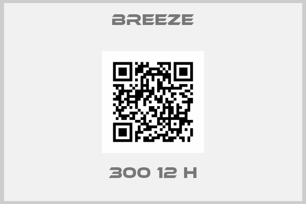 BREEZE-300 12 H