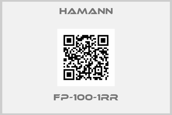 HAMANN-FP-100-1RR