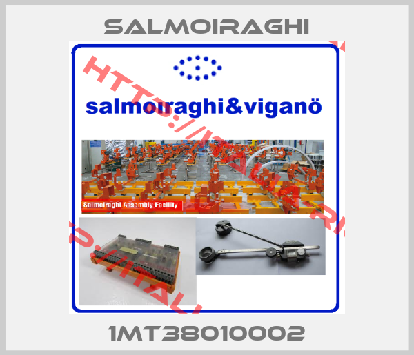 salmoiraghi-1MT38010002