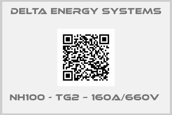Delta Energy Systems-NH100 - TG2 – 160A/660V 