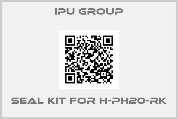 IPU Group-Seal kit for H-PH20-RK