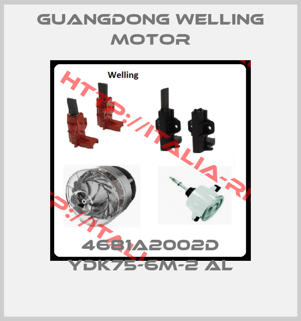 Guangdong Welling Motor-4681A2002D YDK75-6M-2 AL