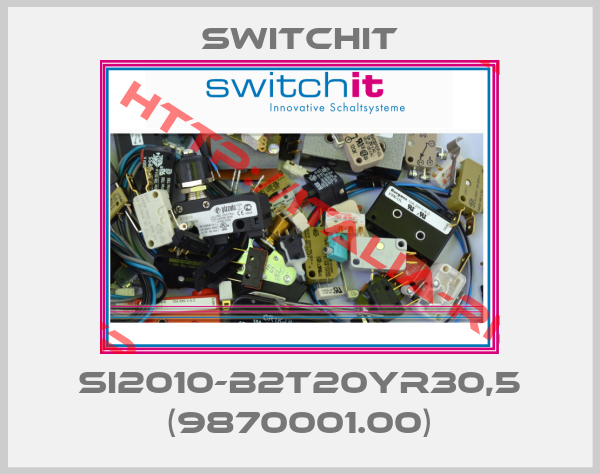 Switchit-SI2010-B2T20YR30,5 (9870001.00)