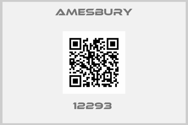 Amesbury-12293 