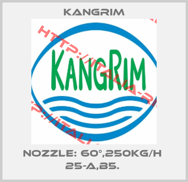 Kangrim-NOZZLE: 60°,250KG/H  25-A,B5. 